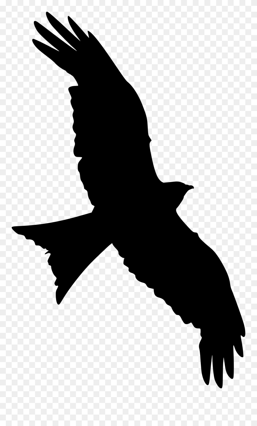 All Photo Png Clipart - Transparent Flying Falcon Silhouette