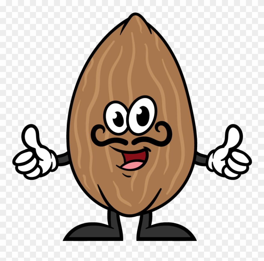 Fad Or Fact - Cartoon Pecan Clipart