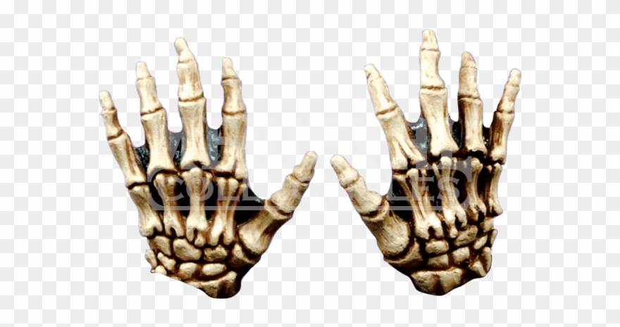 Colored Junior Skeleton Hs Clip Art Free - Manos De Una Calavera - Png Download