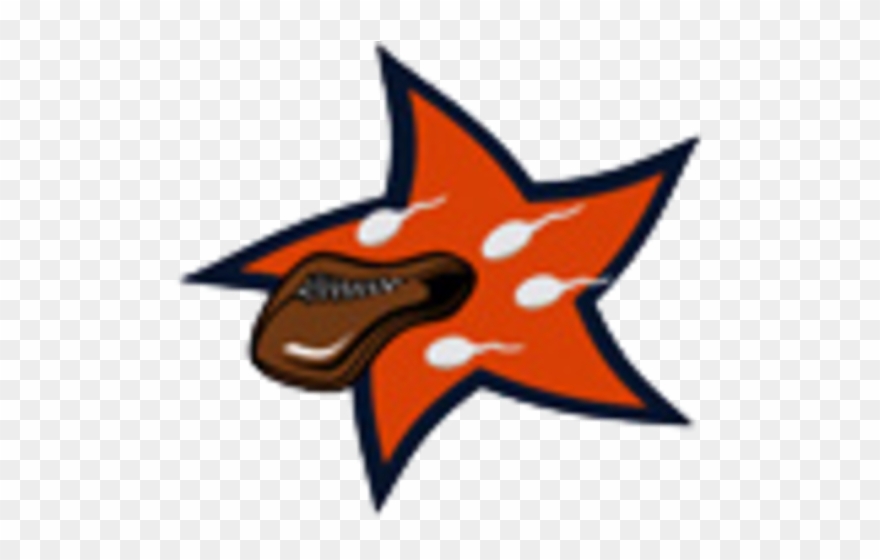 New England Patriots Clipart Backwards - Nfl - Png Download