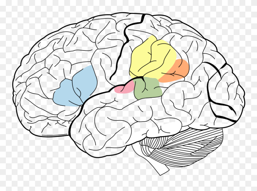 Imprints - Science Of Human Nature: A Psychology Clipart