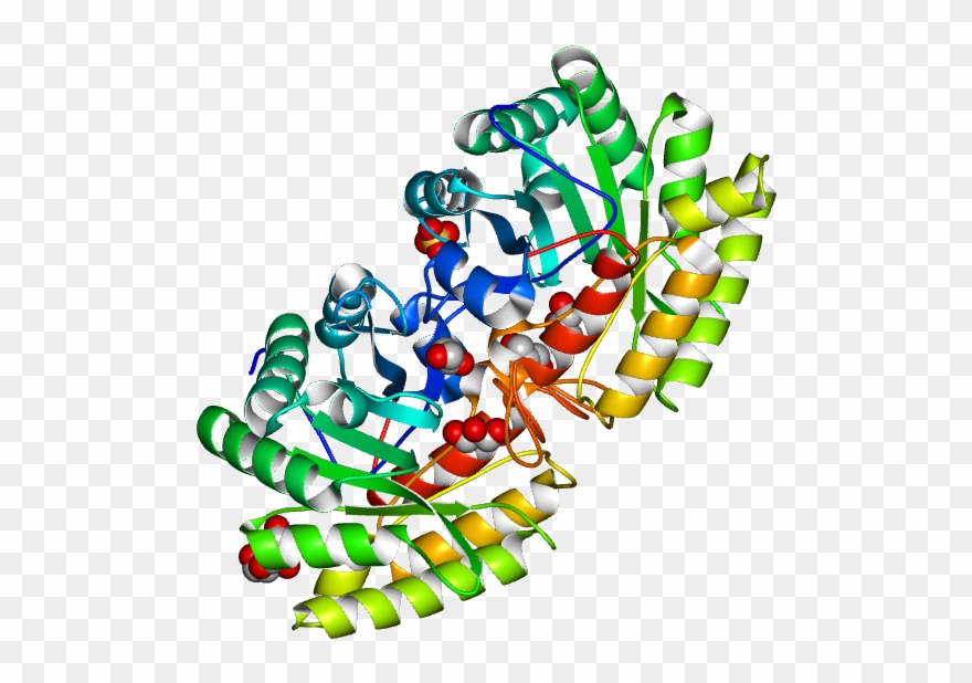 Molmil Generated Image Of 2dsk - Illustration Clipart