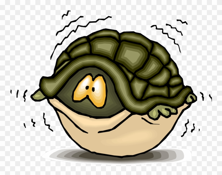 Kathy Jackson - Turtle Inside Shell Cartoon Clipart