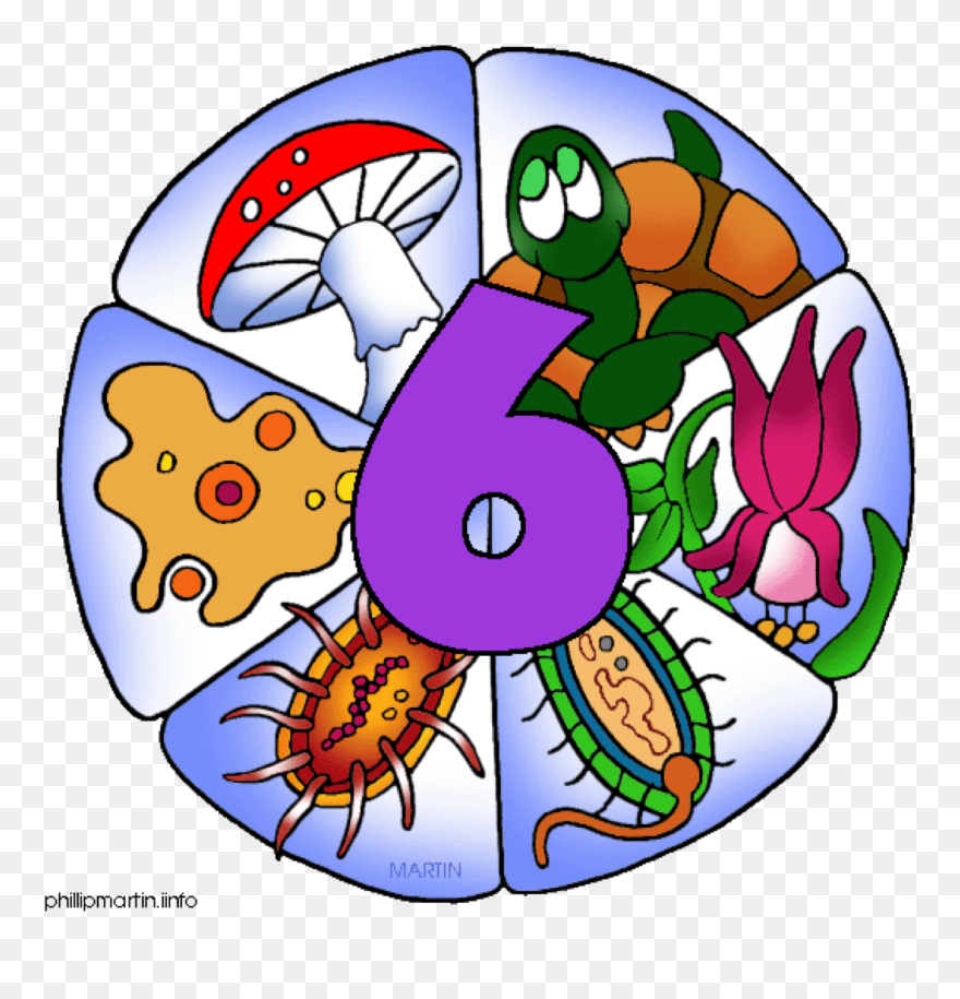 6 Kingdoms Of Life Clipart