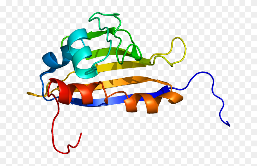 Protein Ahsa1 Pdb - Protein Clipart