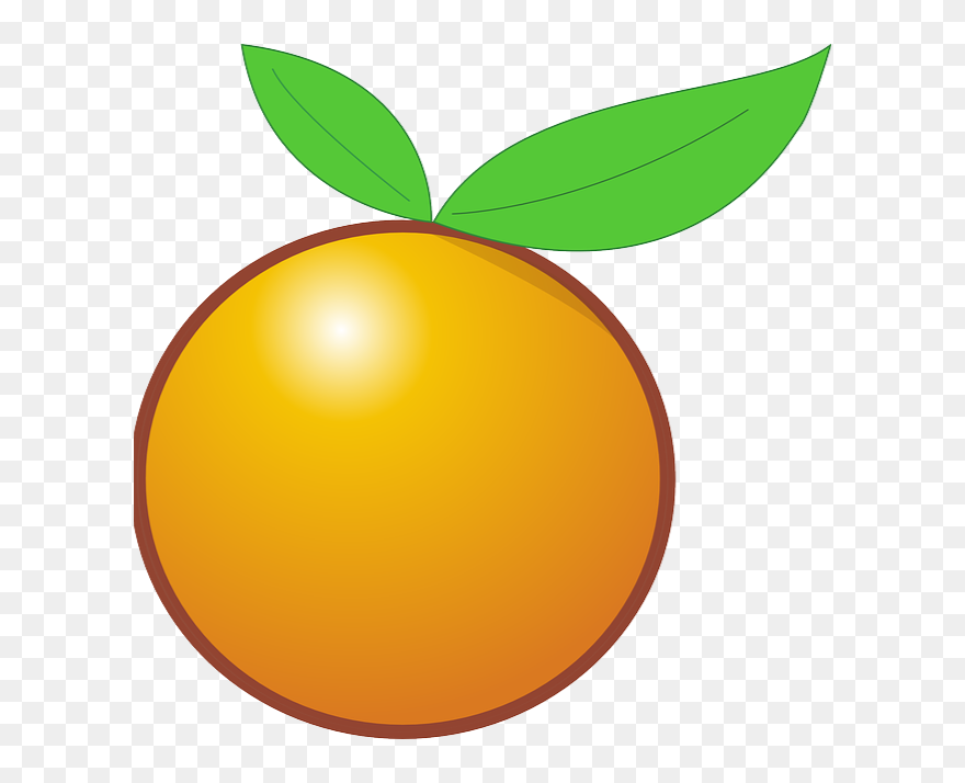 Cartoon Orange Clipart