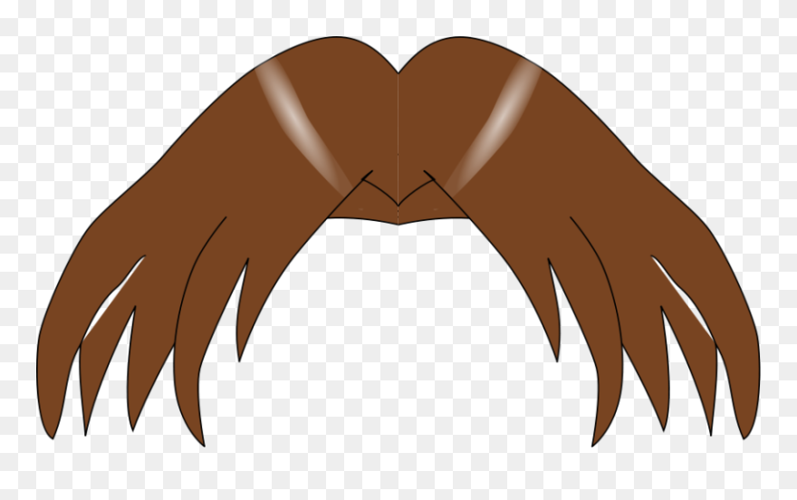 Hair Clipart - Hair Clip Art - Png Download