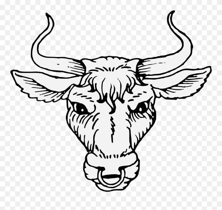 Cattle Heraldry Artist Ox - Ox Head Horn Png Clipart