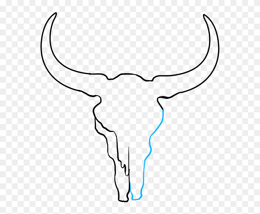 How To Draw Bull Skull - Draw A Cow Skull Clipart