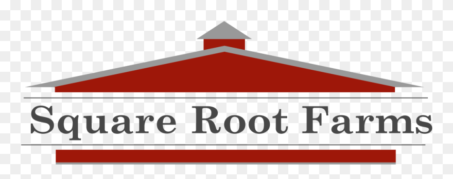 Square Root Farms - Bollywood Night Clipart