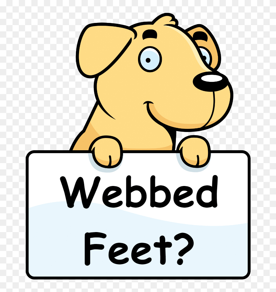 Drawing Of Dog Catching A Ball Clipart