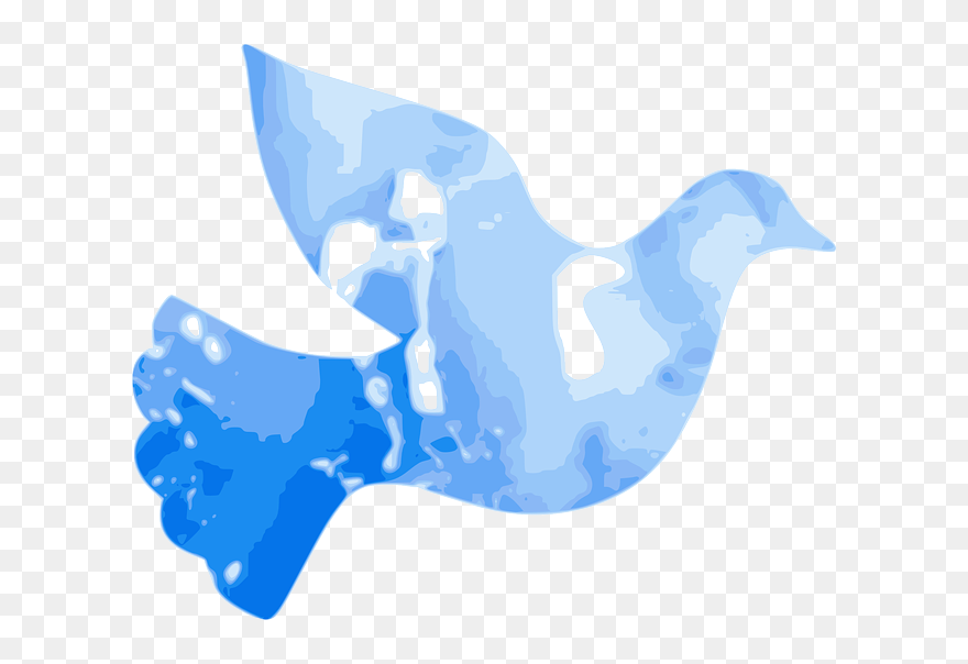 Turtle, Water, Simple, Outline, Drawing, Silhouette - Blue Dove Clip Art - Png Download