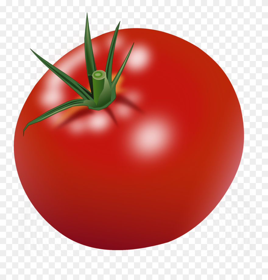 Tomato Clipart - Png Download