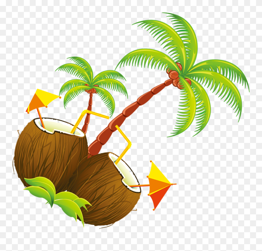 Coconut Tree Illustration - Cartoon Coconut Trees Clipart