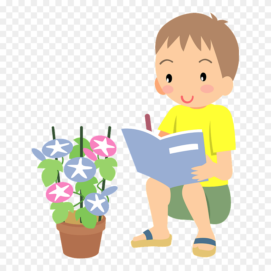 Child Boy Morning Glory Clipart - 無料 イラスト 自由 研究 - Png Download