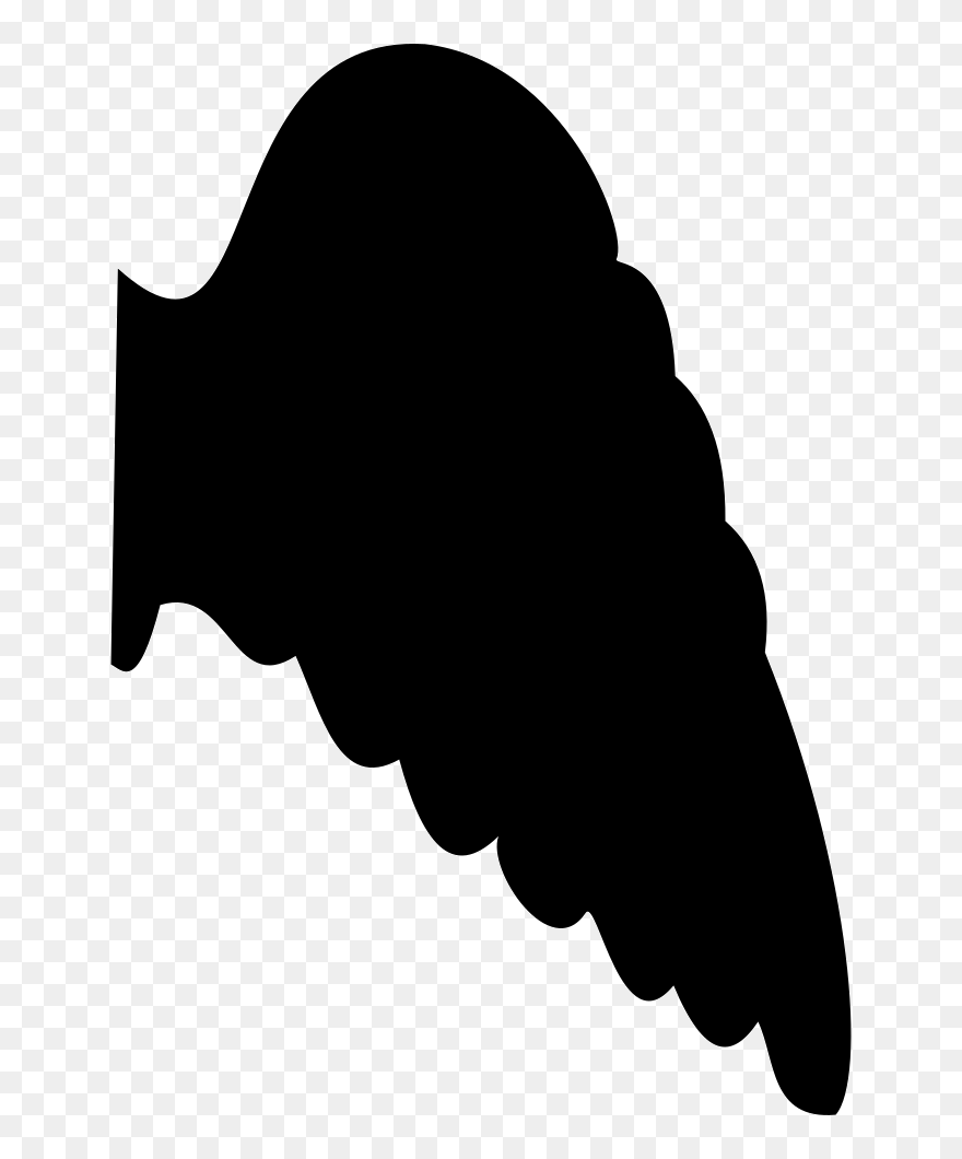 Angel S Wing Clipart