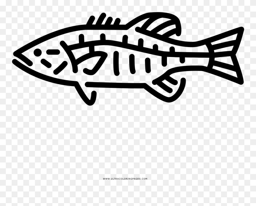 Transparent Largemouth Bass Clipart - Smallmouth Bass Icon - Png Download