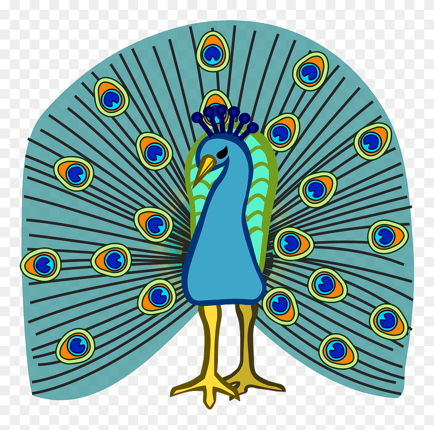 Peacock Clipart - Clip Art - Png Download
