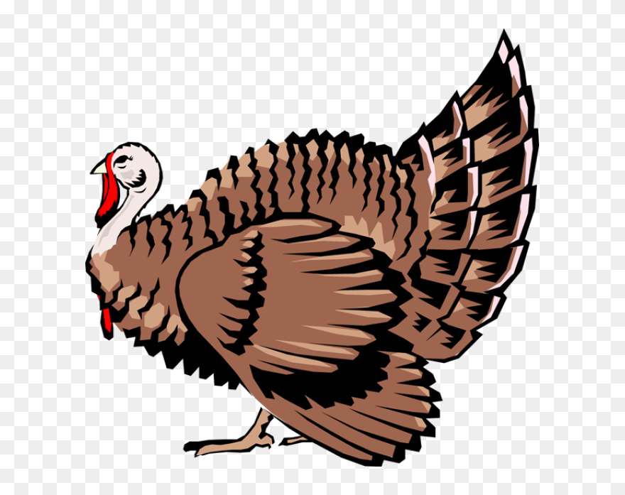 Turkey Bird Clipart Live - Farm Turkey Clipart - Png Download