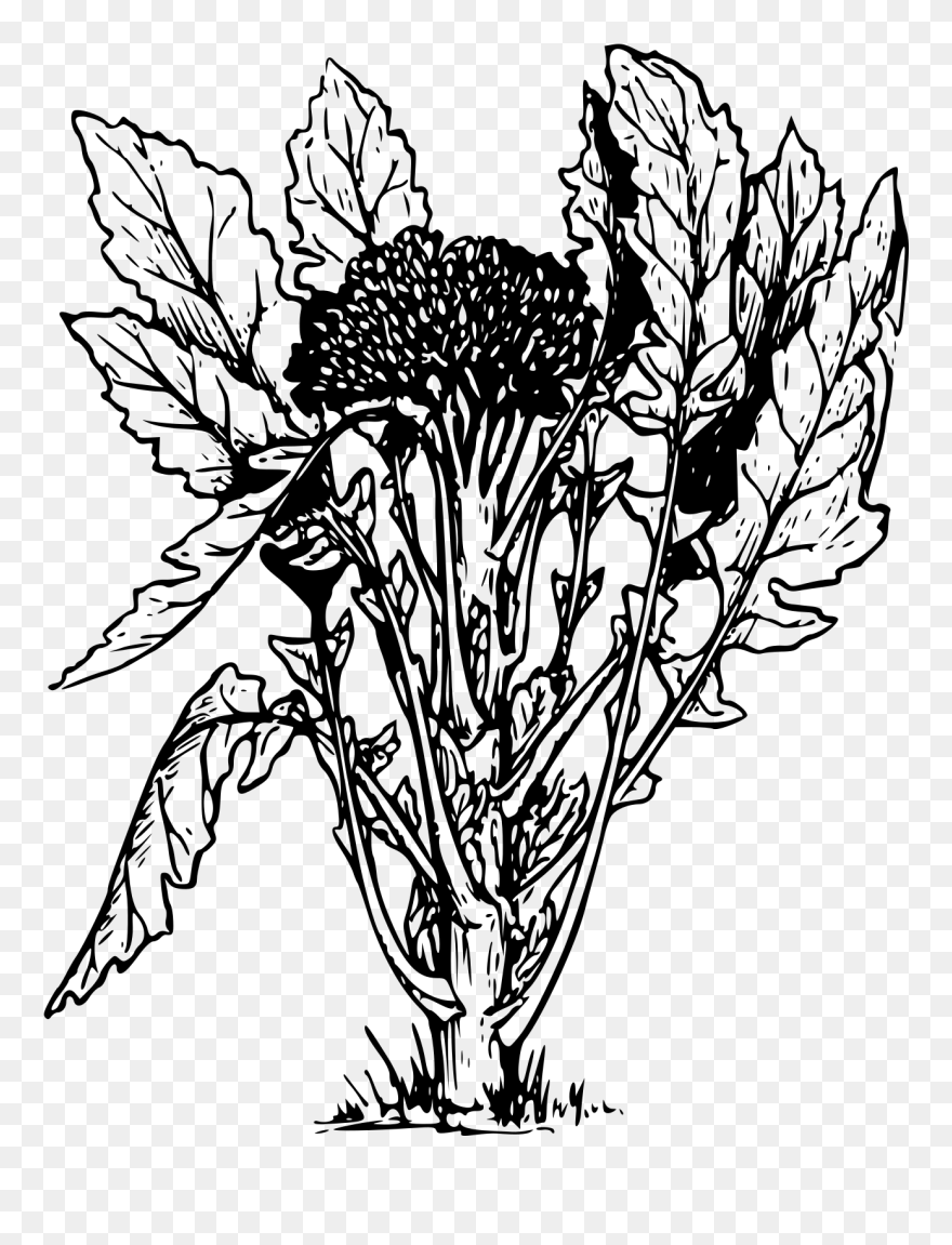 Bouquet Clip Art Black And White - Png Download