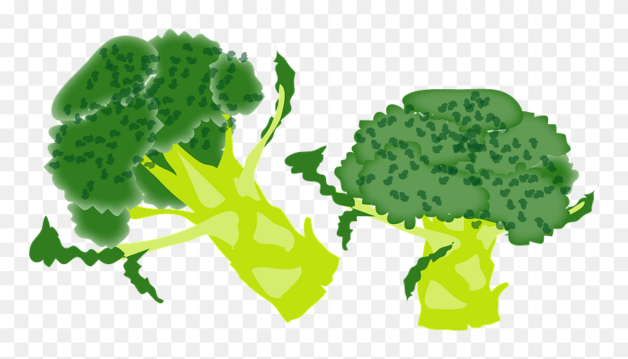 Broccoli Vegetable Clipart - Png Download