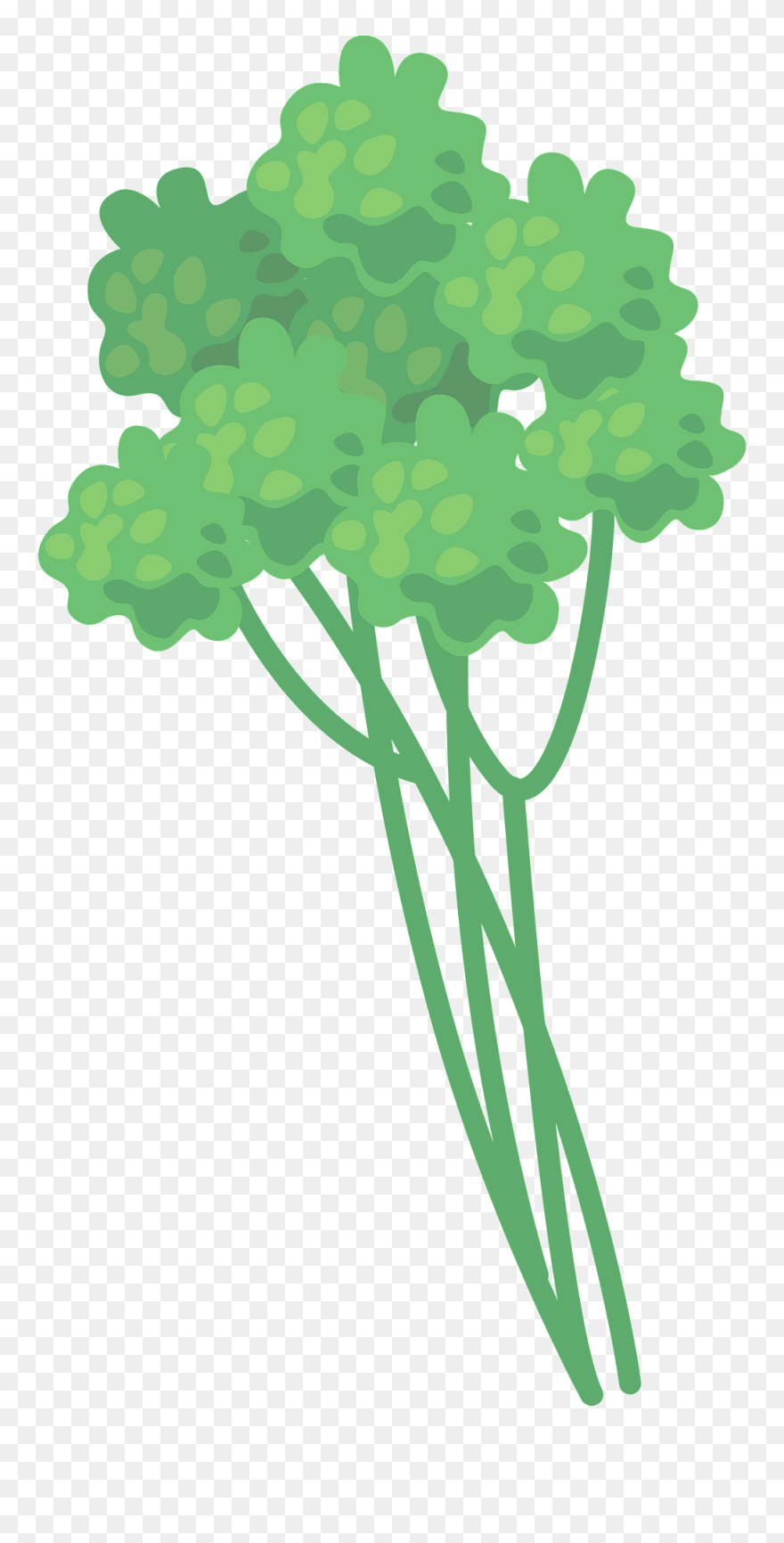 Clip Art - Png Download