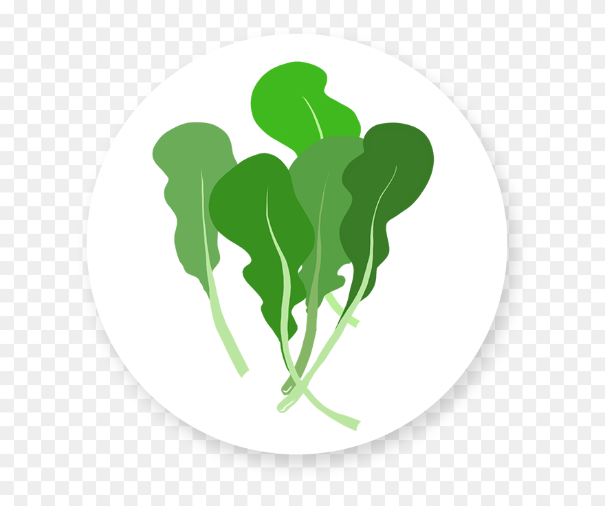 Leafy Green Animated Nutrition Background Clipart