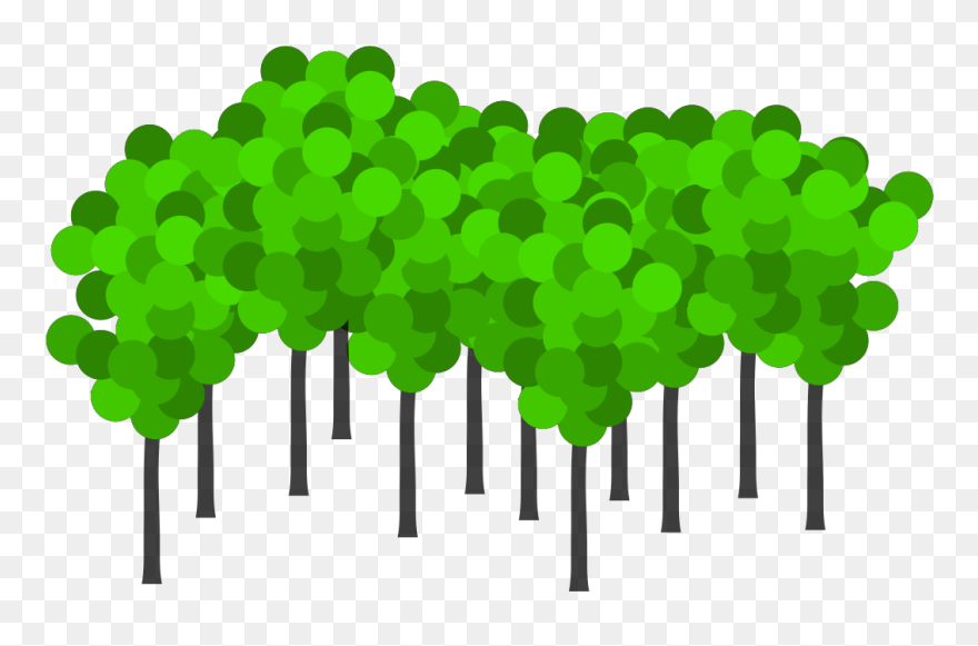 Transparent Group Of Trees Clipart