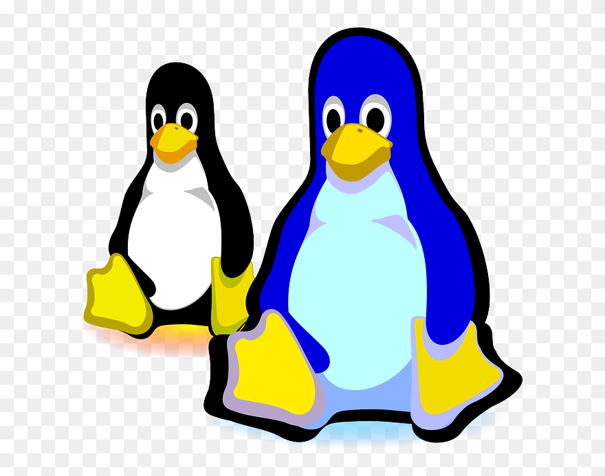 Transparent Hopeful Clipart - Zoom Penguin Encryption - Png Download