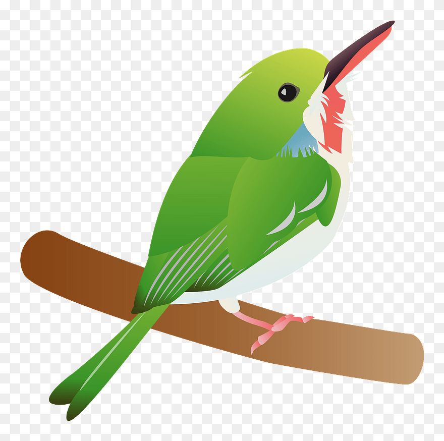 Tody Bird Clipart - Mountain Bluebird - Png Download