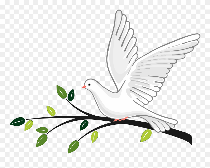 Pigeons And Doves Clipart