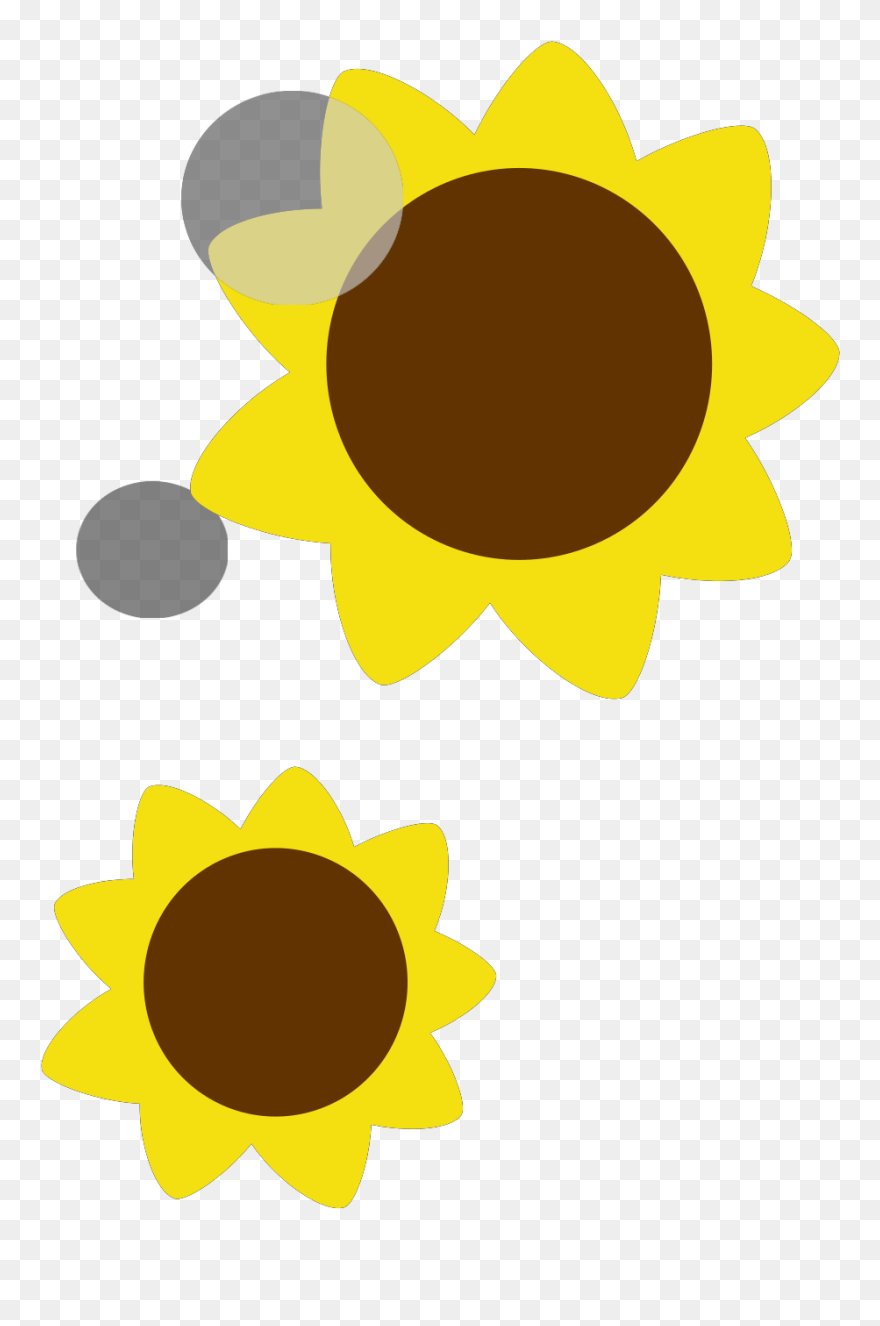 Sunflower Clipart