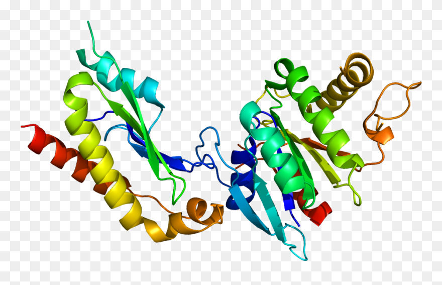 Protein Srprb Pdb 2fh5 - Illustration Clipart