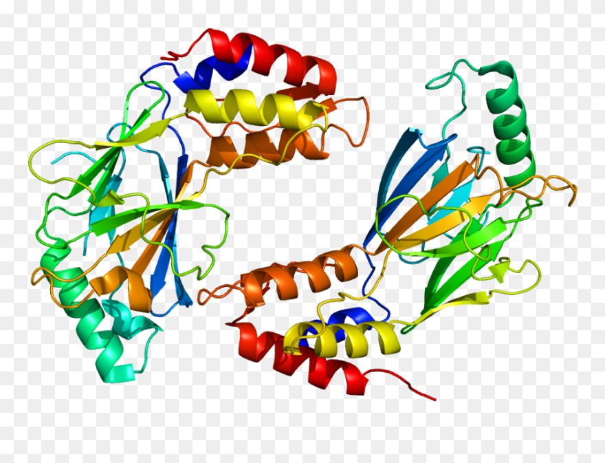 Protein Irf3 Pdb 1j2f - Interferones Animados Clipart