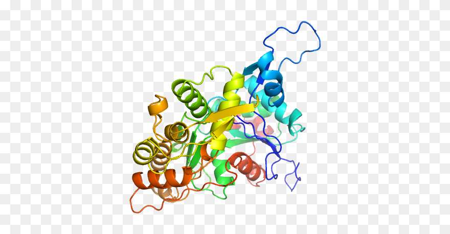 Illustration Clipart