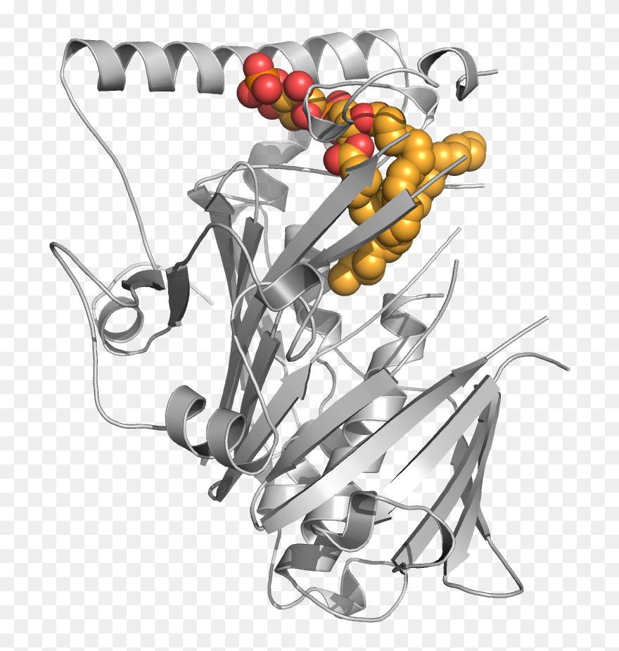 Teama5 Osh4 Pi4p Ball - Illustration Clipart