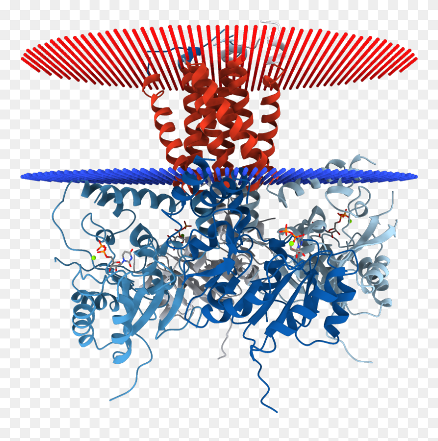 Illustration Clipart