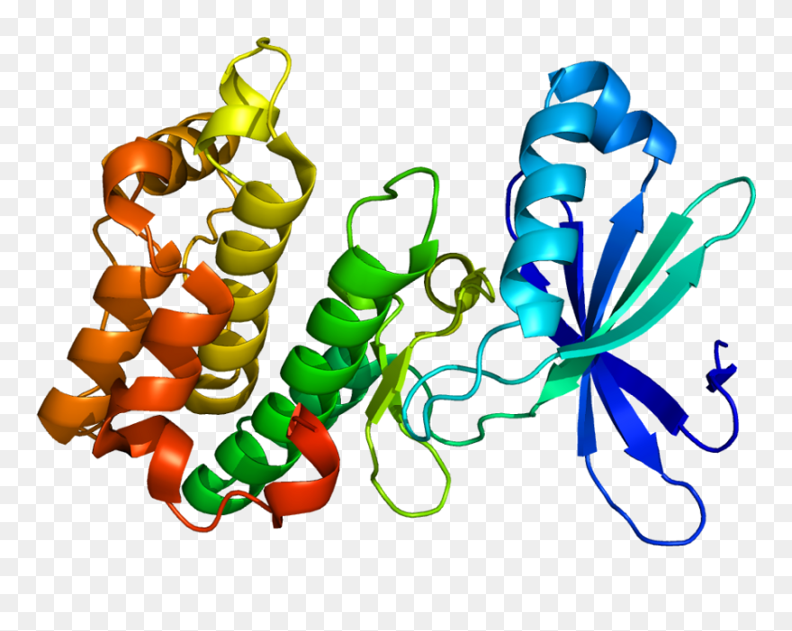 Kinase Protein Clipart