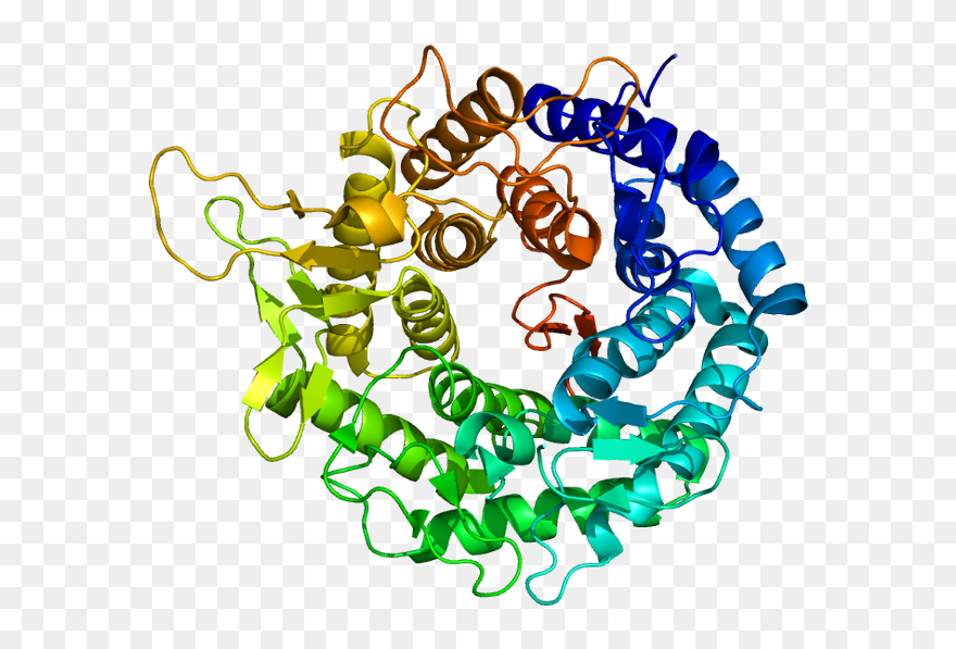 Protein Man1b1 Pdb 1fmi Clipart