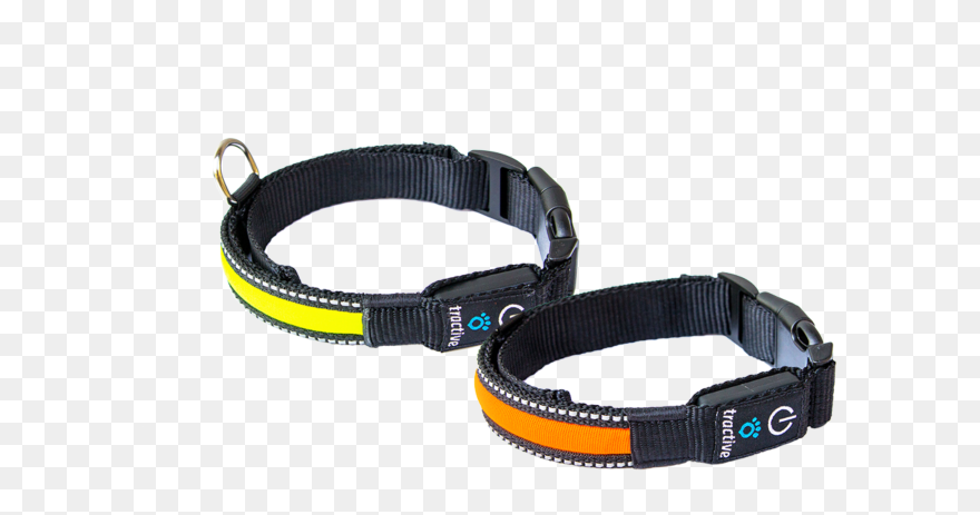 Κολαρο Σκυλου Led Clipart