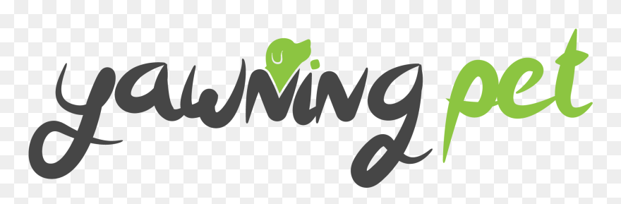 Dog Bark Collar With Vibration Harmless Shock Usb Rechargeable - Graphic Design Clipart