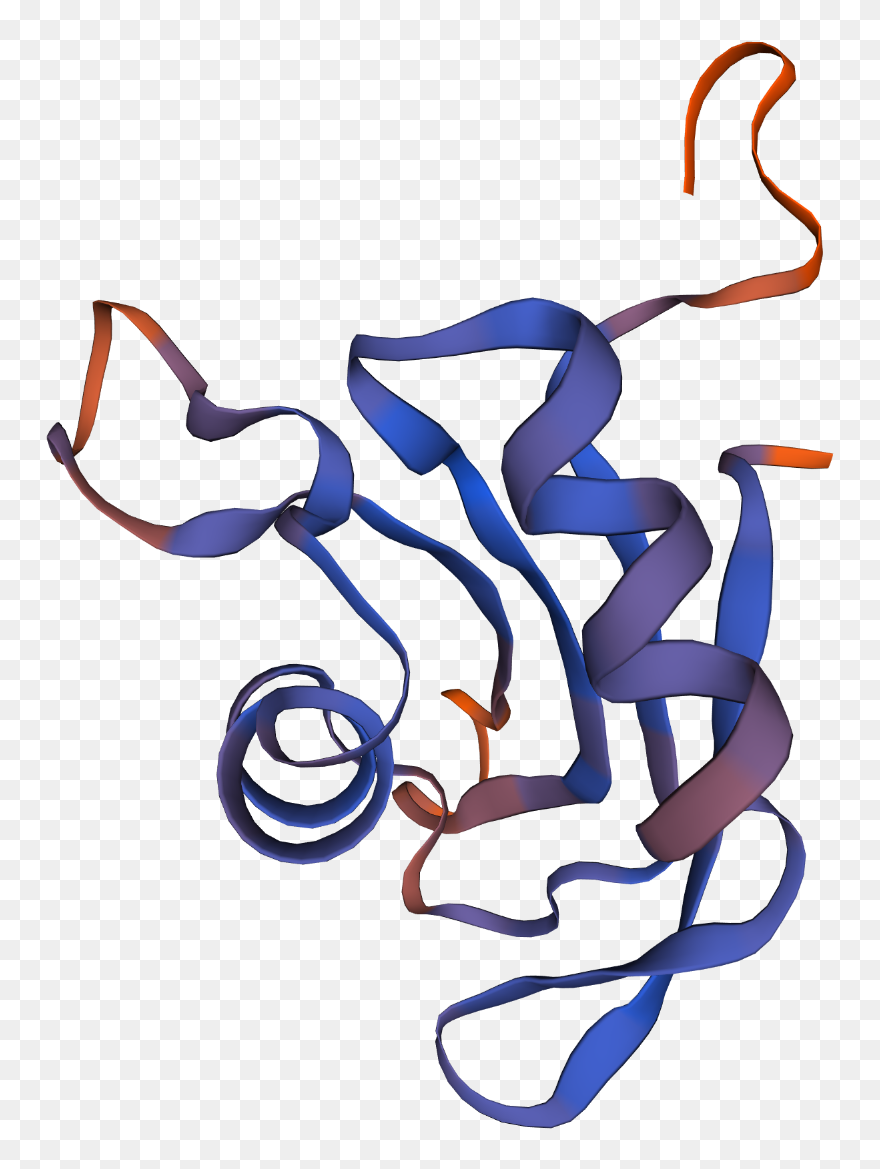 Illustration Clipart