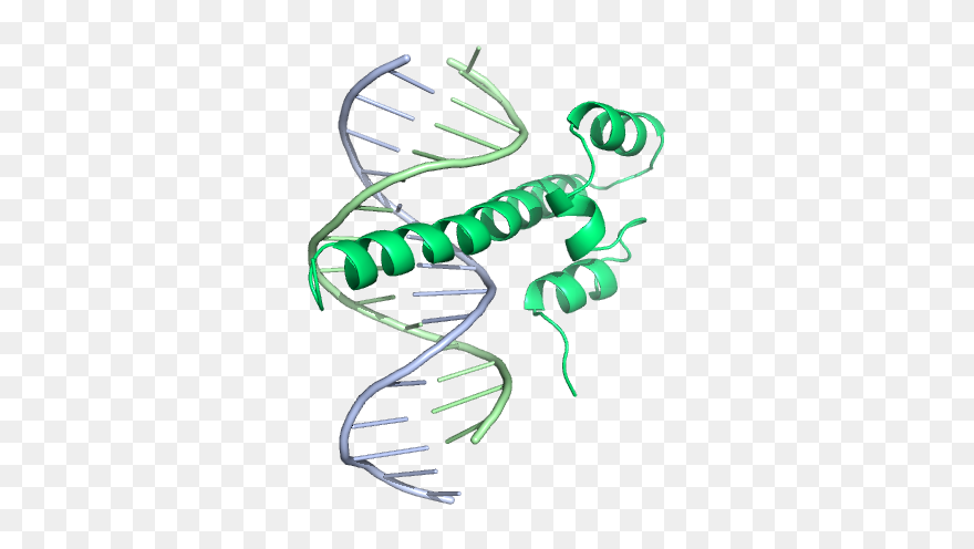 Illustration Clipart