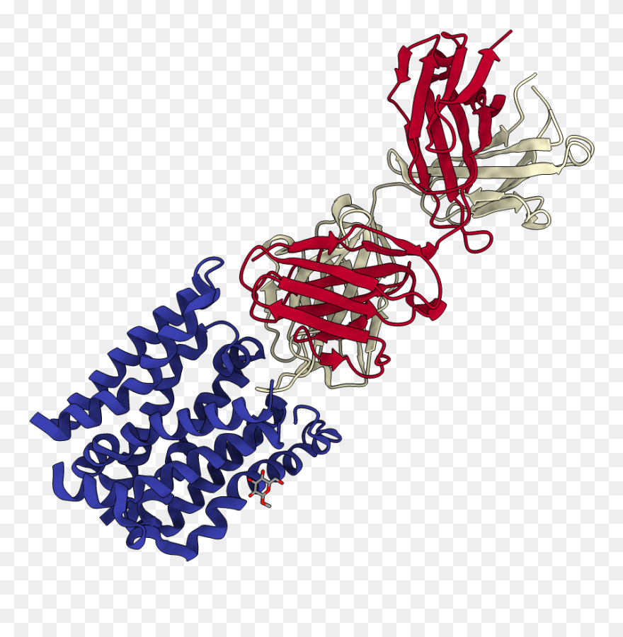 Illustration Clipart