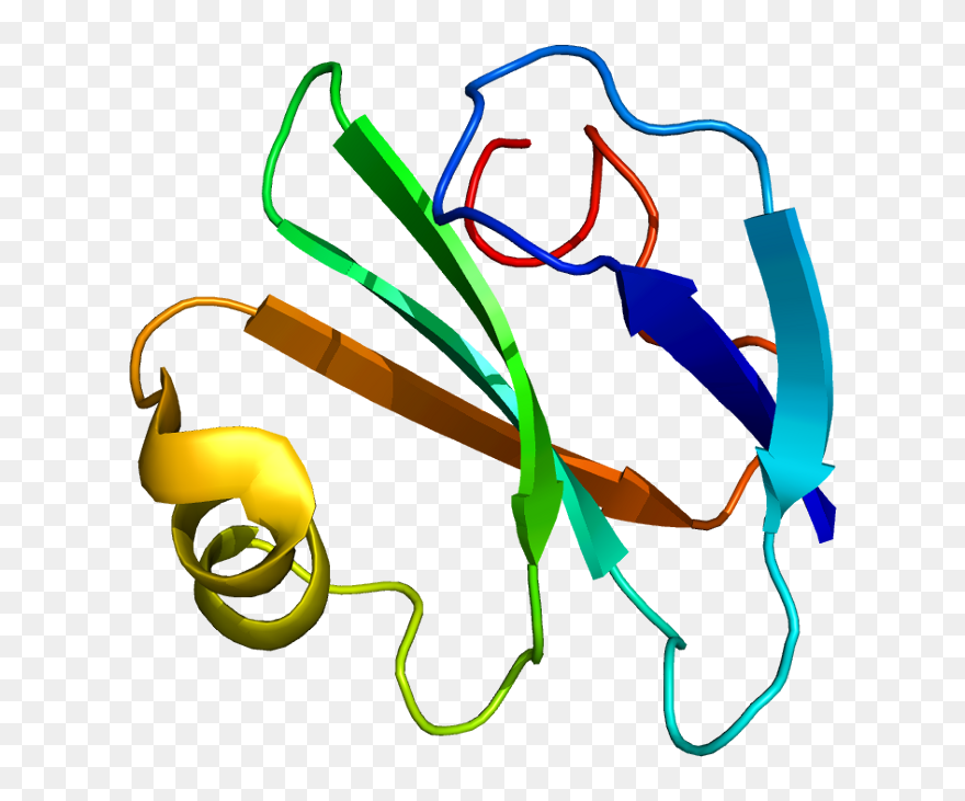 Complement System Png Clipart