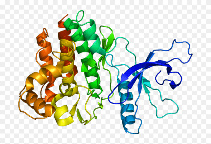 Il 3 Protein Structure Clipart
