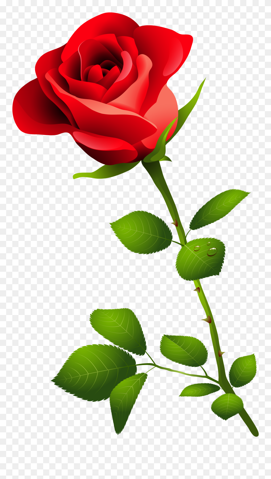 Library Of Rose Png Freeuse Library No Background Png - Transparent Background Rose Clipart