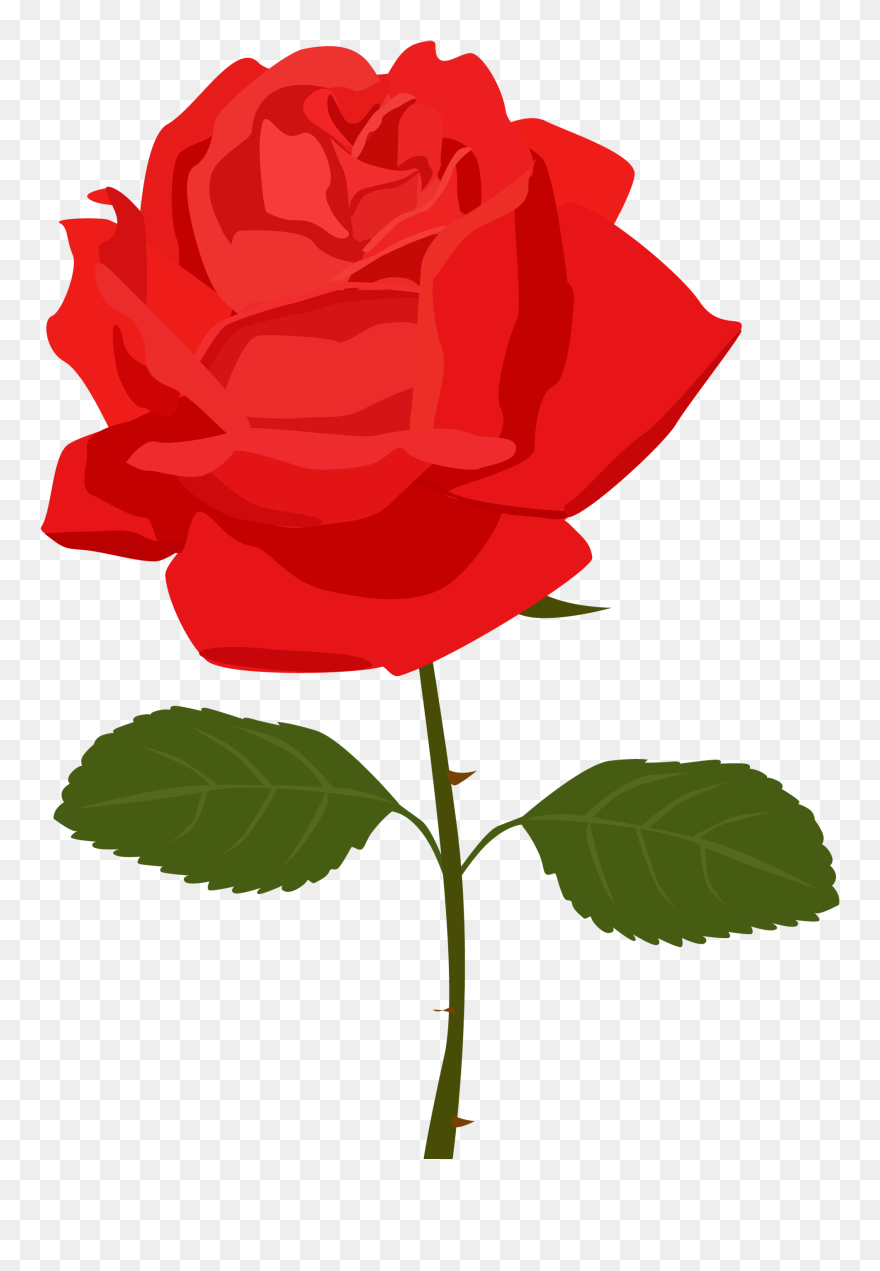 Rose Flower Clip Art - Rose Clip Art Transparent Background - Png Download