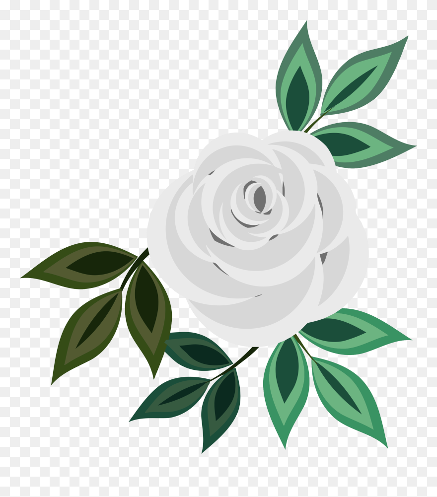Clip Art Pink Rose , Png Download - White Rose Clipart Png Transparent Png