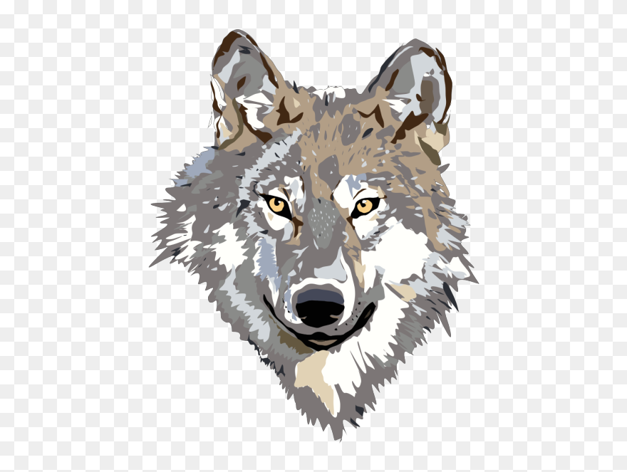 Wolf 2 Png Icons - Clipart Wolf Png Transparent Png